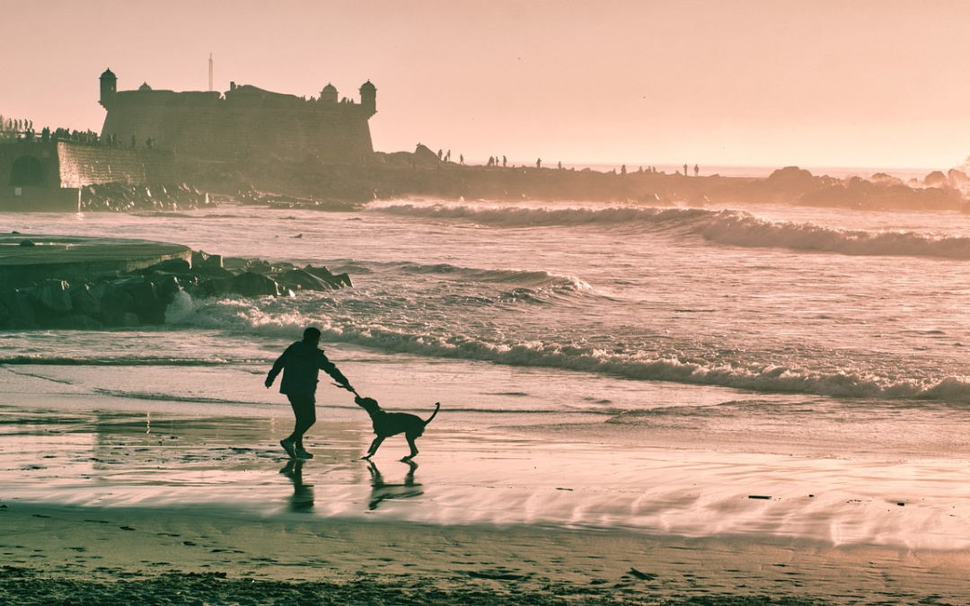 3 tengerparti strand, ahol a kutyák is fürödhetnek